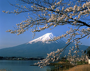 http://blogs.davenportlibrary.com/reference/wp-content/uploads/2008/05/mt-fuji.jpg