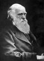 darwin1