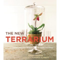 new-terrarium