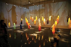 Corn Zone by Michael Meilahn; currently on display at the Figge Museum in the Orientation Gallery through early February 2010