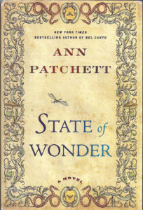 state of wonder2