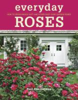 everyday roses