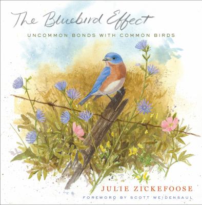 bluebird effect