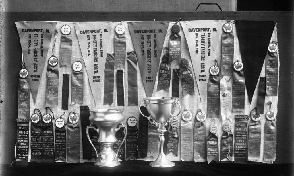 Photograph of awards that Mr. Emil C. Boniger won for his chickens. The collection of ribbons, trophies, and pennants date between 1908 and 1913.