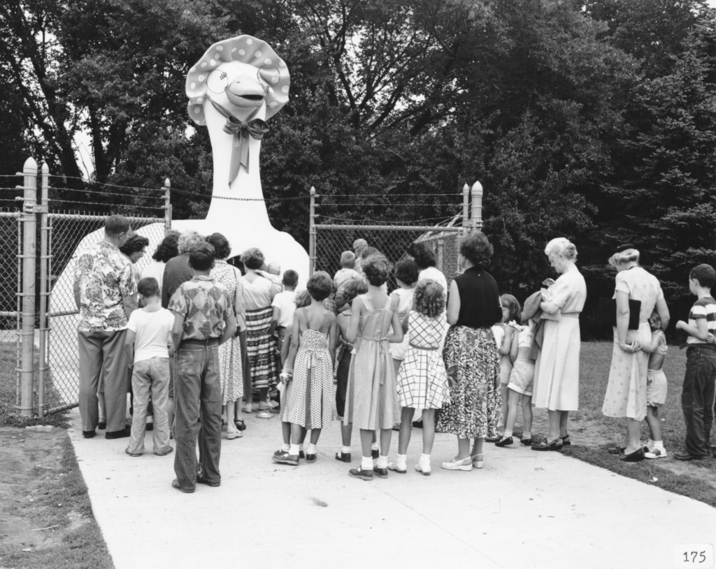 SO CUTE!! Vintage Fejervary Petting Zoo Photos Primary Selections